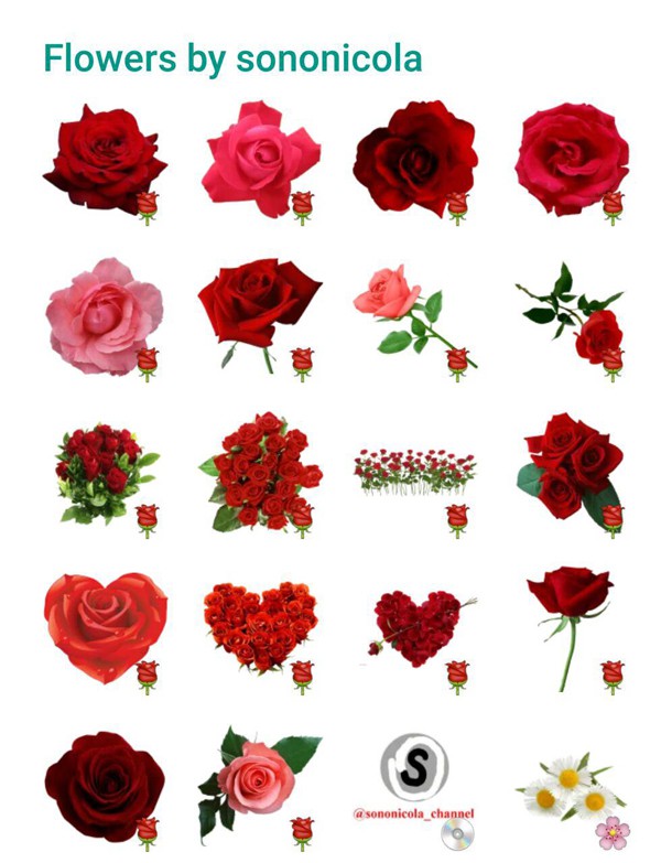 Red flowers stickers